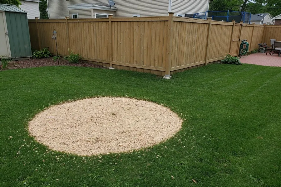 Yard after residential stump grinding with mulch fill where the stump was